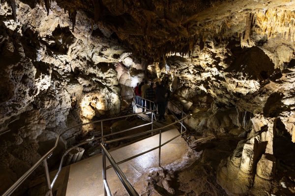 Lake-Shasta-Caverns-May-2025-2